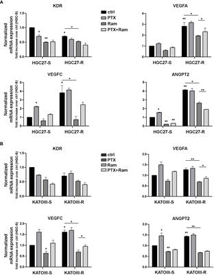 The multiple combination of Paclitaxel, Ramucirumab and Elacridar reverses the paclitaxel-mediated resistance in gastric cancer cell lines